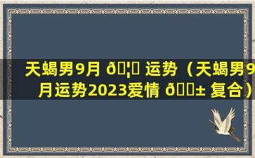 天蝎男9月 🦁 运势（天蝎男9月运势2023爱情 🐱 复合）